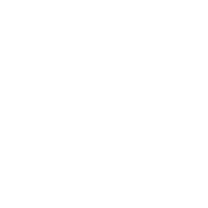 Brother Blendz